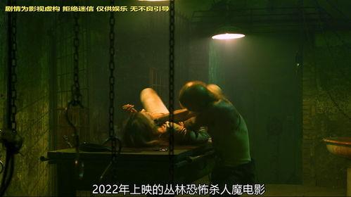 欧美在线观看完整版,在线观看完整版，尽享视听盛宴