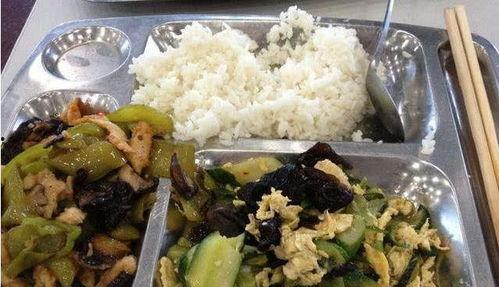 爆料学生伙食怎么办啊视频,学生伙食问题视频引发热议